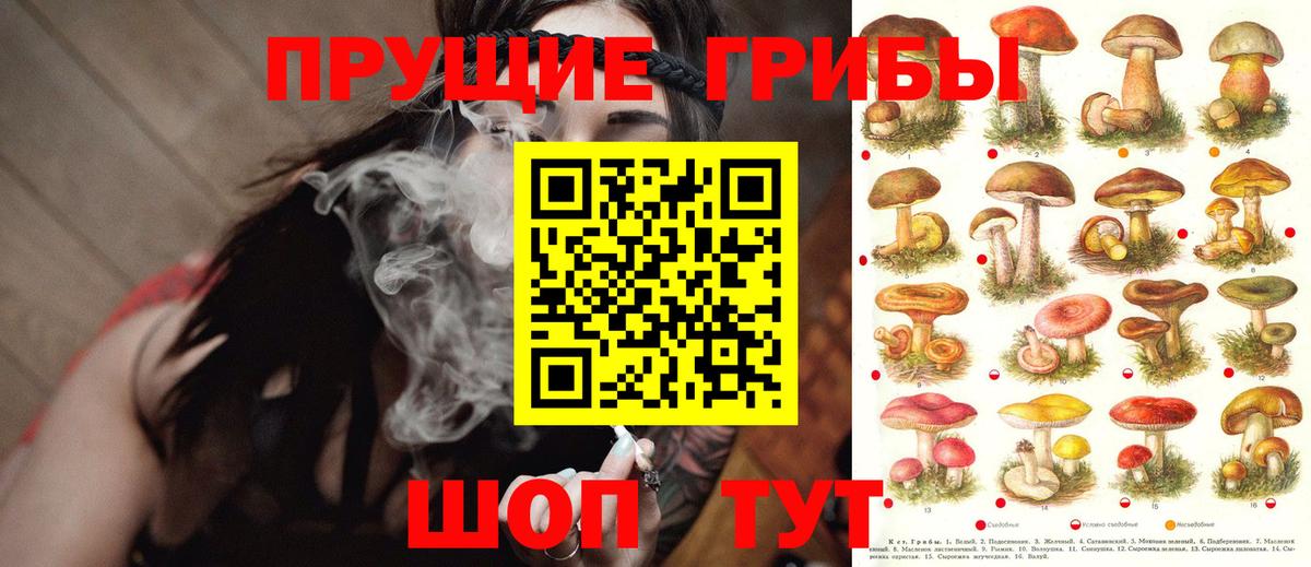Бугульма  Псилоцибиновые грибы MAGIC MUSHROOMS  купить   Вход с VPN 