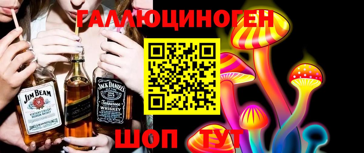Галлюциногенные грибы Psilocybine cubensis Бугульма